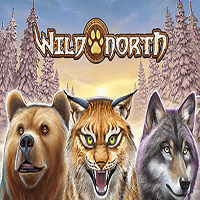 Wild North Slot Next Casino